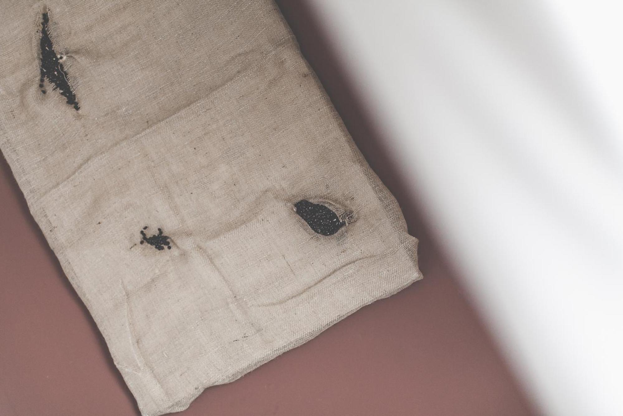 Bio Hotel Palerme Chambre photo